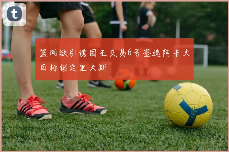篮网欲引诱国王交易6号签选阿卡夫目标锁定里夫斯