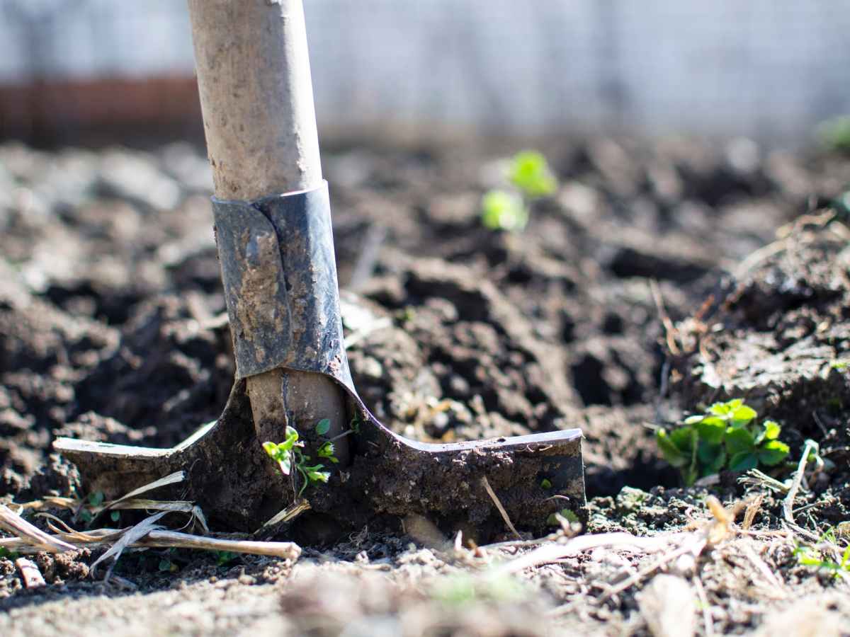 3 Foolproof Tips to Having a Successful&nbsp;Garden