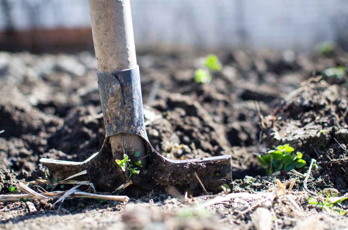 3 Foolproof Tips to Having a Successful&nbsp;Garden